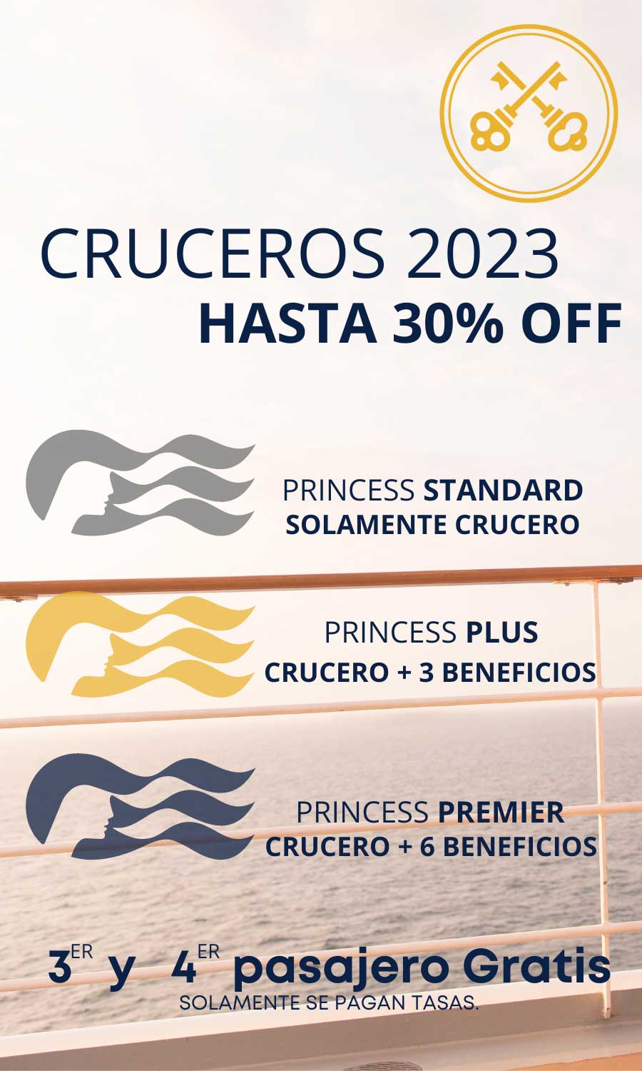 Banner Cruceros